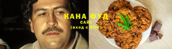 гидра Горно-Алтайск