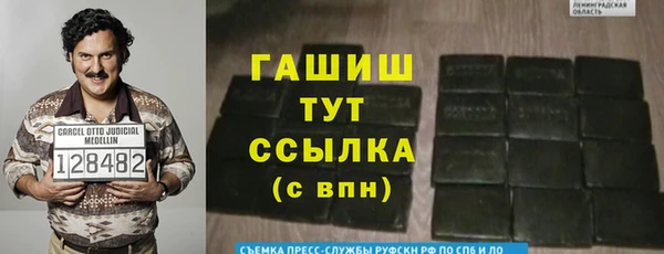 гидра Горно-Алтайск