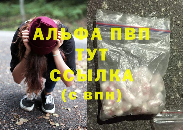 таблы Гусев