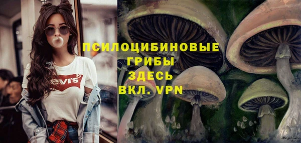 ALPHA PVP Володарск