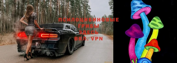 первитин Гусиноозёрск