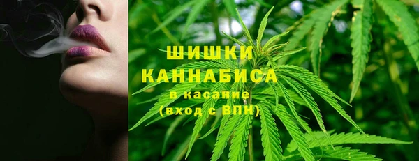 круглые Вяземский
