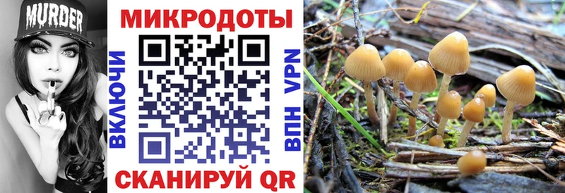 Галлюциногенные грибы MAGIC MUSHROOMS Звенигово