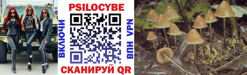 Галлюциногенные грибы Psilocybe  что такое наркотик  Звенигово 