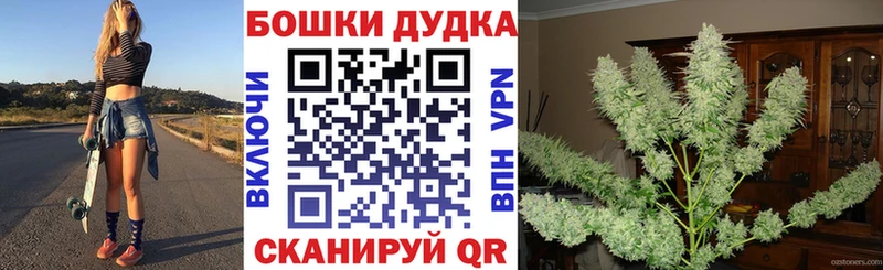 Марихуана Amnesia Звенигово